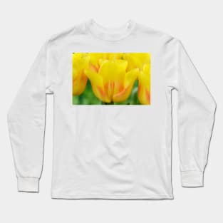 Tulipa  &#39;Ice Lolly&#39;  Tulip Long Sleeve T-Shirt